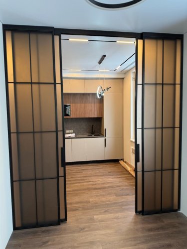 Раздвижная межкомнатная перегородка с тонированным стеклом